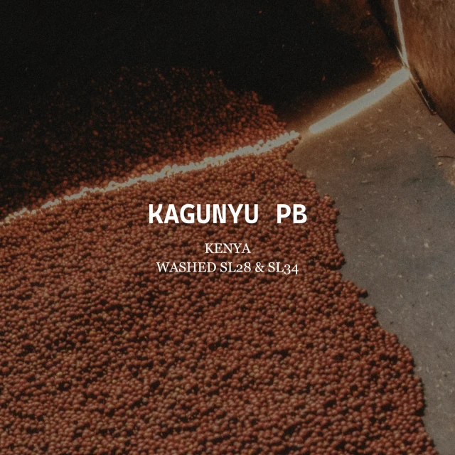 KAGUNYU PEABERRY