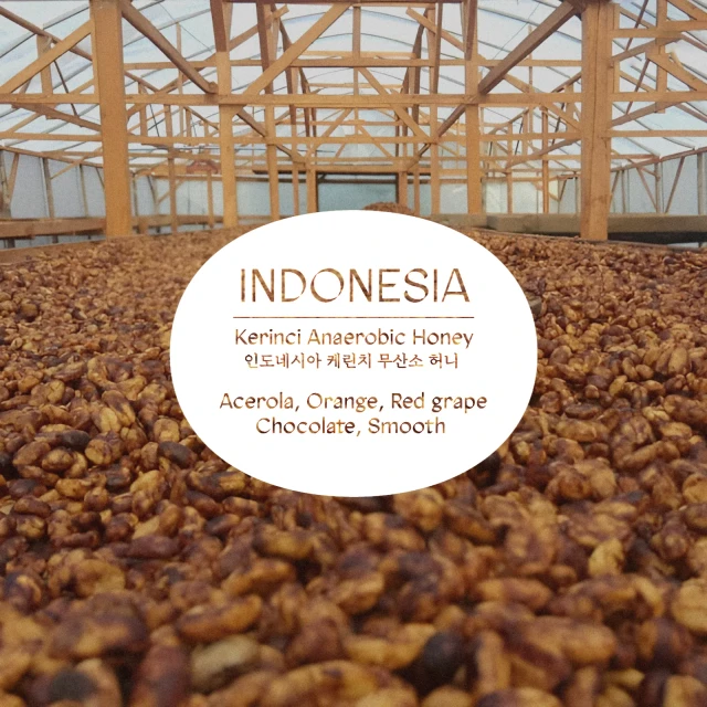 Indonesia Kerinci Anaerobic Honey