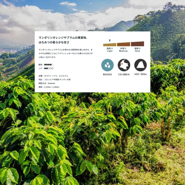 Quindio | The mountainous region