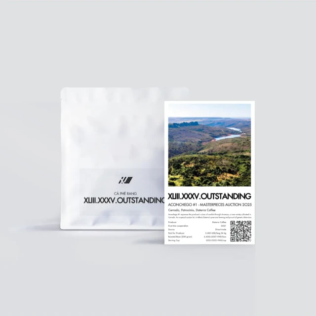 Aconchego #1 – Masterpieces Auction 2025