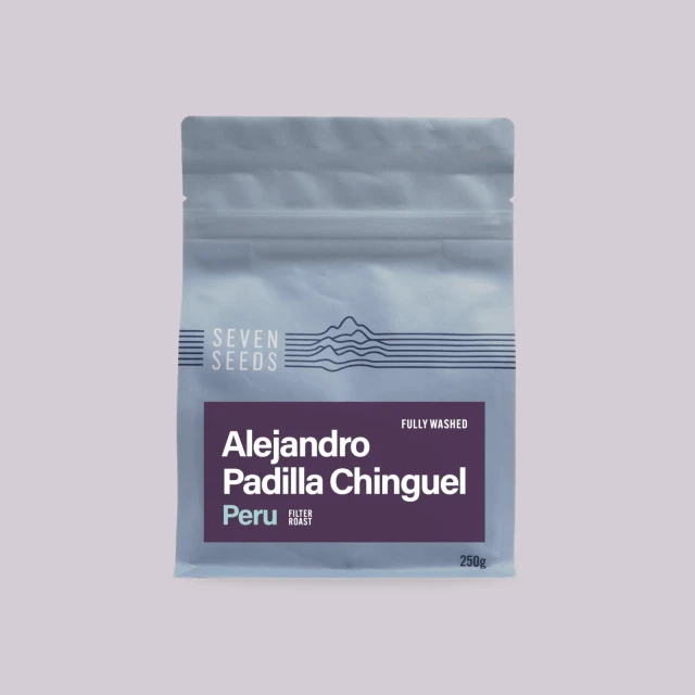 Alejandro Padilla Chinguel