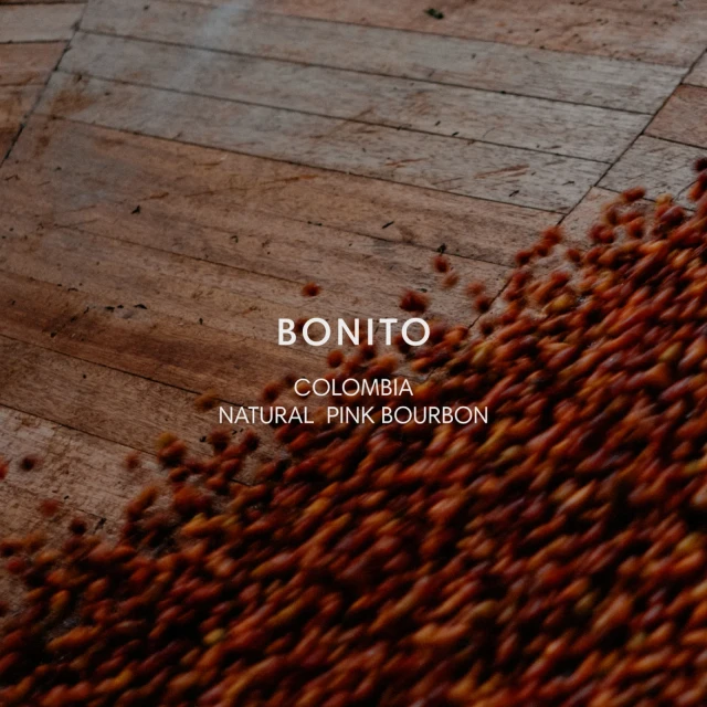 Bonito Natural