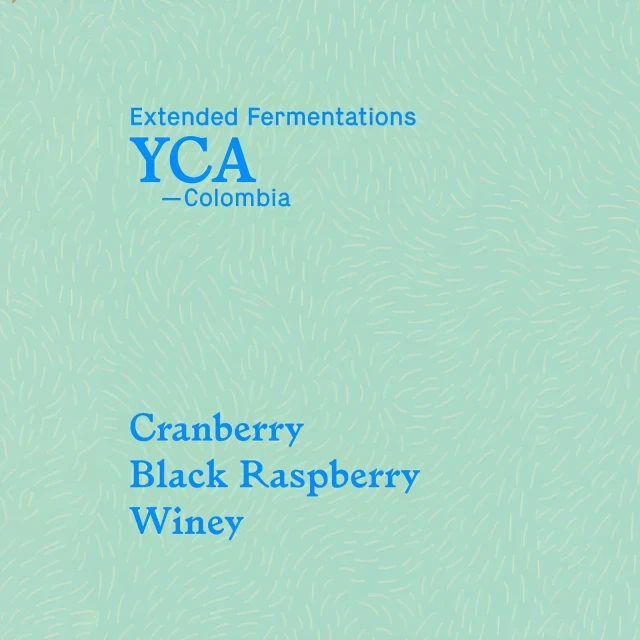YCA Extended Fermentation