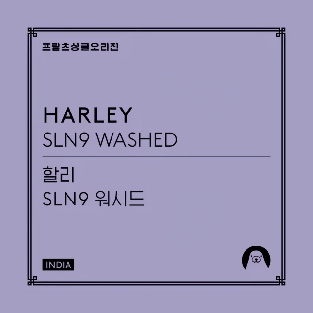 Harley SLN9 Washed